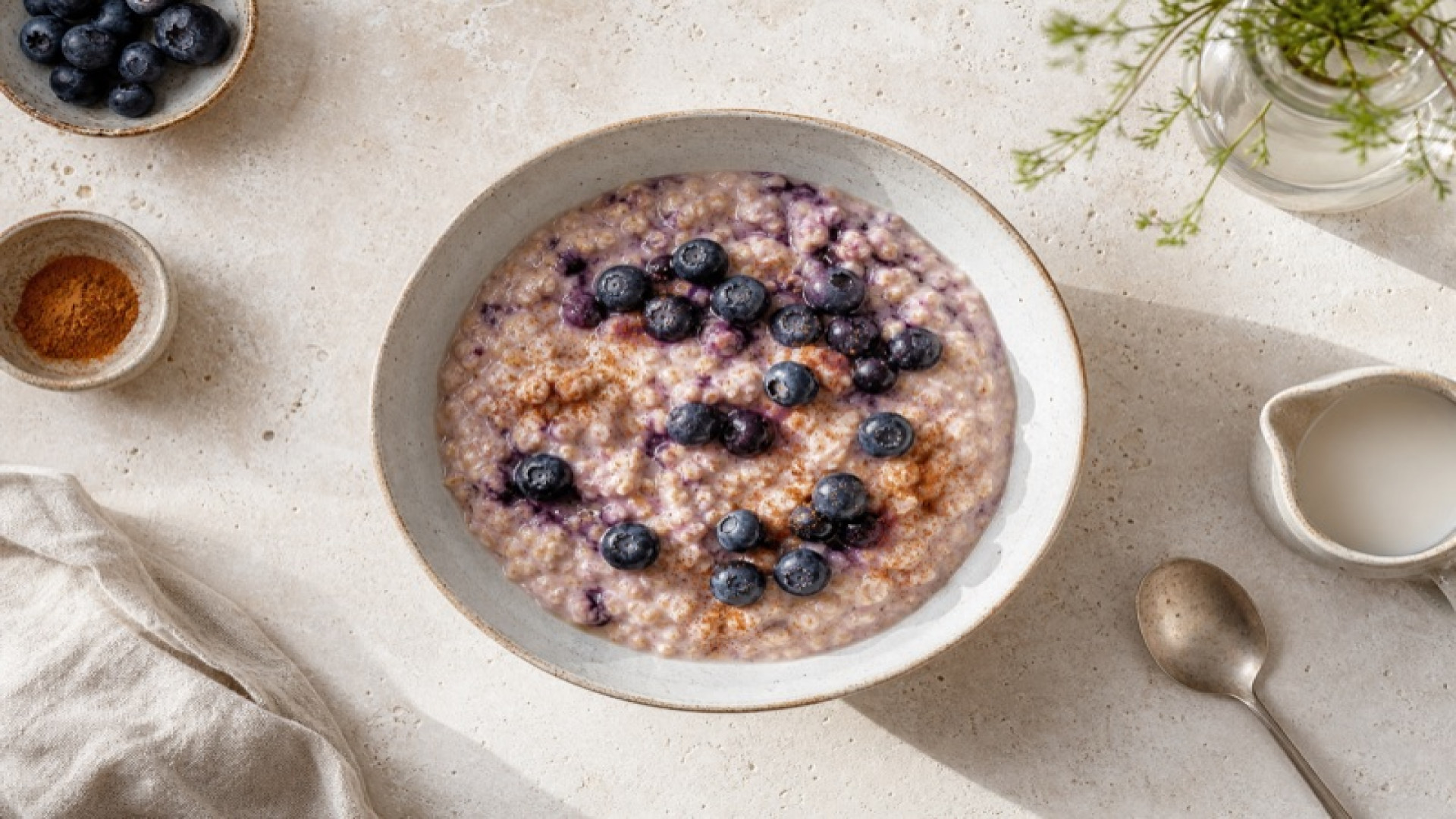 Blaubeerporridge - vegan