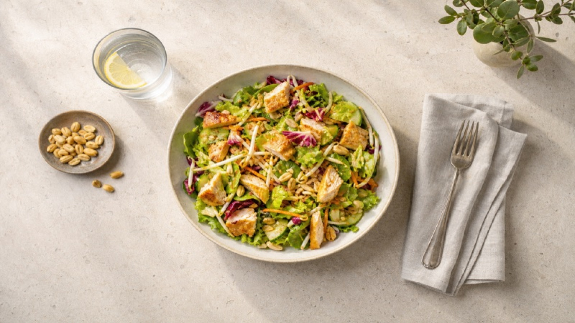 Dean & David - Chicken Oriental Small mit Essig und Öl Dressing